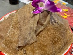 -生活如沸·顺德水牛奶火锅(大学路店)