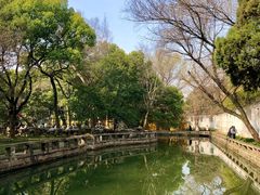 -西园戒幢律寺