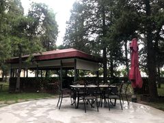 -莫多多餐厅
