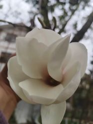 -莲生母婴月子中心(清水河公园店)