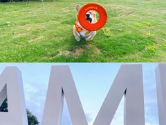 -南京外国语学校(仙林分校西区)