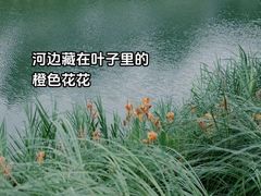 -福田红树林生态公园