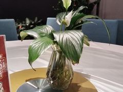 -顺德佬(石厦店)