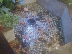 -舌尖上的食缘花园主题餐厅
