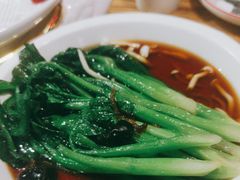 -新白鹿餐厅(百联中环店)