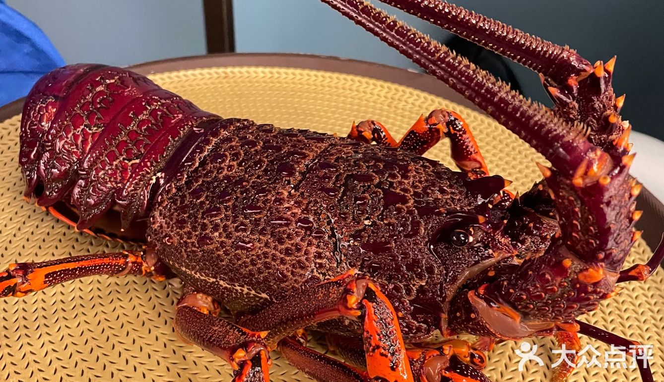 极致绝美川粤菜，辣到过瘾辣到爽～