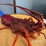 极致绝美川粤菜，辣到过瘾辣到爽～