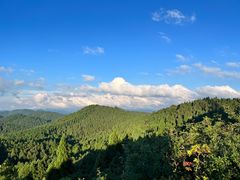 -武陵山森林公园