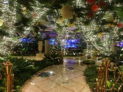 -拉斯维加斯永利酒店