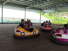 -泉州海丝野生动物世界