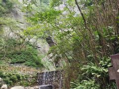 -燕子河大峡谷天坑仙境