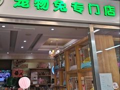 -宠物兔专门店(天丰利市场店)