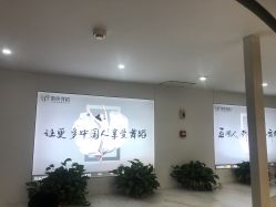 -单色舞蹈
