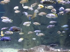 -江和美海洋公园