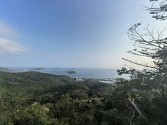 -三亚亚龙湾人间天堂鸟巢度假村