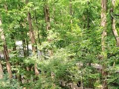 -北京西山国家森林公园