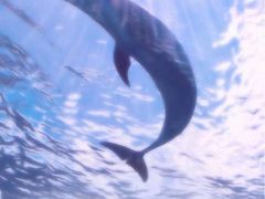 -张亮麻辣烫(北京马连道店)