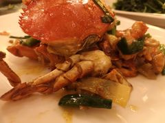 -上海安亭别墅花园酒店