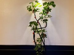 -涟LIAN·泰式按摩·MASSAGE·SPA(深业上城店)