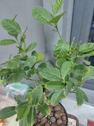 -Dr·Jane皮肤管理中心