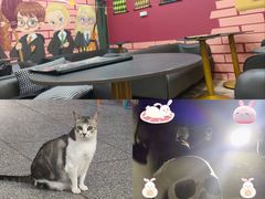 -谜盒子奇幻密室(南屏店)