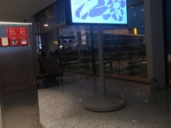 -广州白云国际机场-T2航站楼