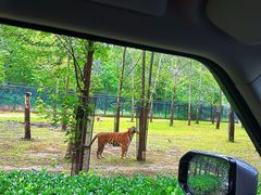 -秦皇岛野生动物园