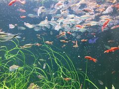 -成都浩海立方海洋公园