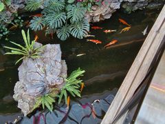 -白天鹅宾馆·流浮阁咖啡厅