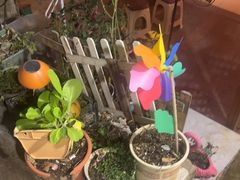 -鱼乐岛餐厅·户外花园主题餐厅
