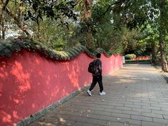 -房湖公园