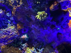 -上海海洋水族馆