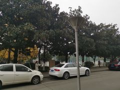 -西南交通大学(九里校区)