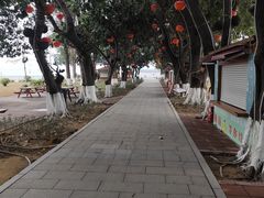 -南沙天后宫景区