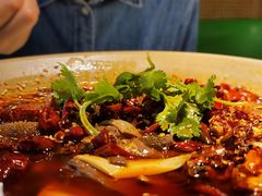 金牌毛血旺-辛香汇·现炒川菜(淮海路百盛店)