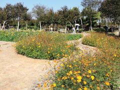 -武汉紫薇都市田园