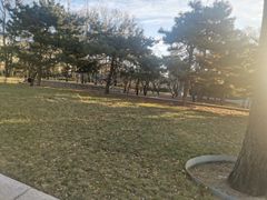 -玲珑塔公园