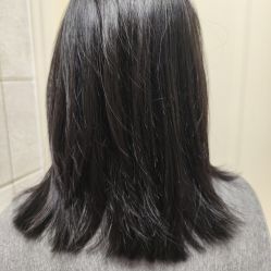 -世田造型