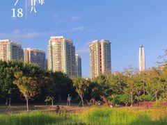 -福田红树林生态公园