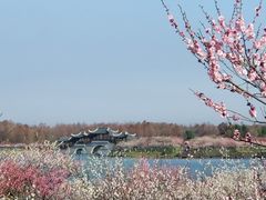 -上海海湾国家森林公园