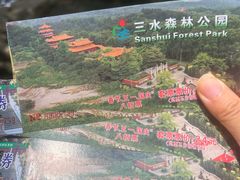 -三水森林公园