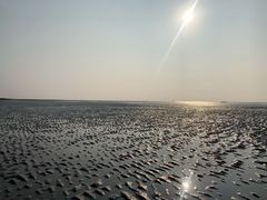 -南汇新城海滩
