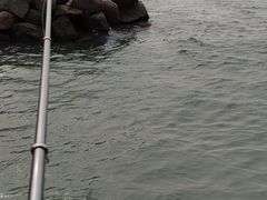 -南澳海滩