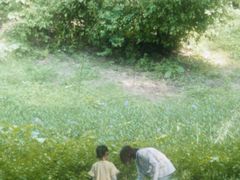 -青青世界