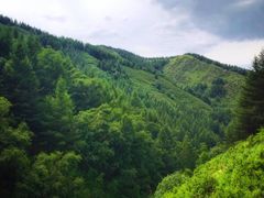 -苏木山森林公园