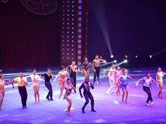 -珠海横琴长隆《卡卡虎奇遇记》