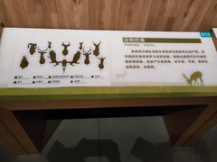 -陕西自然博物馆