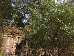 -车溪民俗旅游区