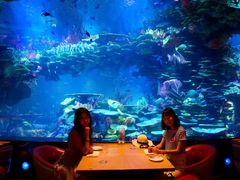 -迪拜帆船酒店海底餐厅