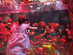 -南昌融创海世界